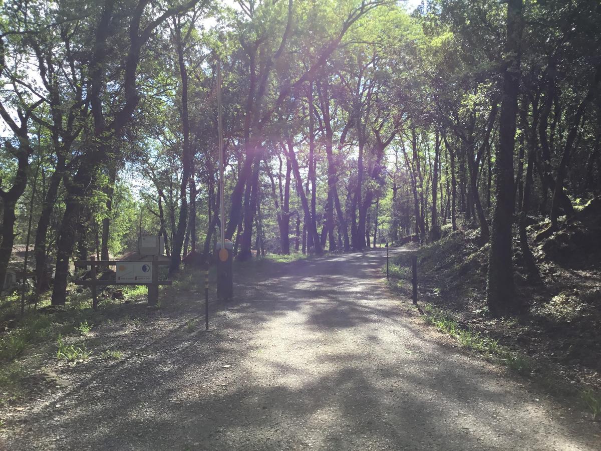 Camping De Graniers Monoblet Екстериор снимка
